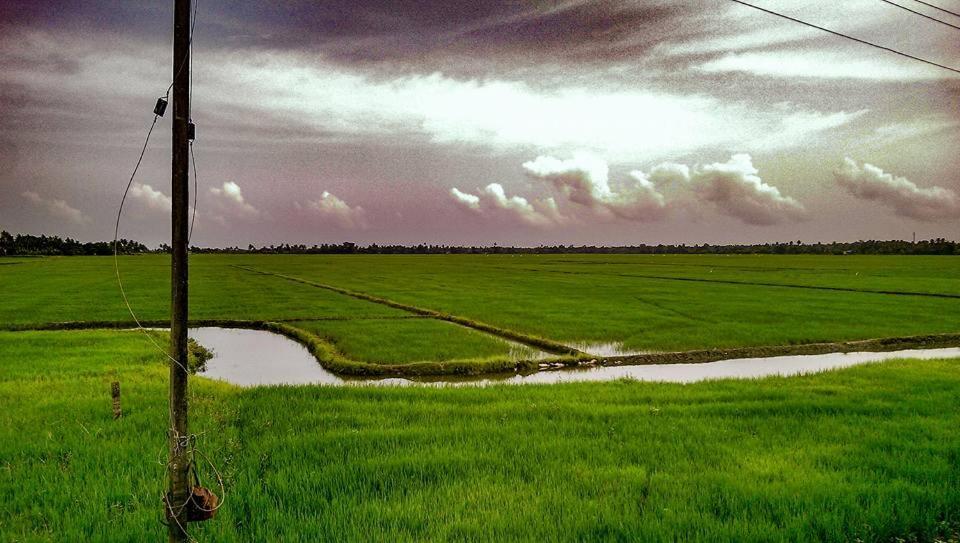 Golden * Alappuzha
